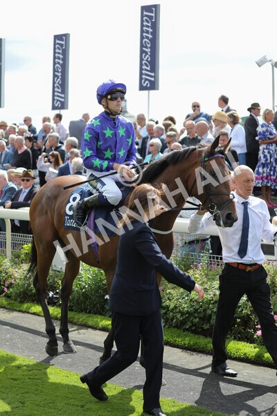 yr17082022r2-9 - Race 2 2.25pm Tattersalls Acomb Stakes