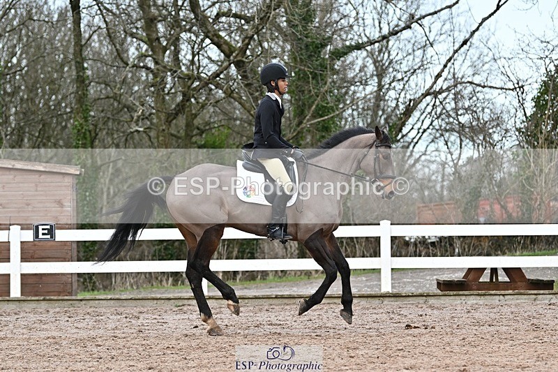 250125-135204-00703 - Dressage - CT Class 7 BE Novice 112