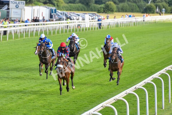 yr23072021r1-24 - Race 1 6.00pm John Wright Electrical Silk Series Lady Riders Handicap