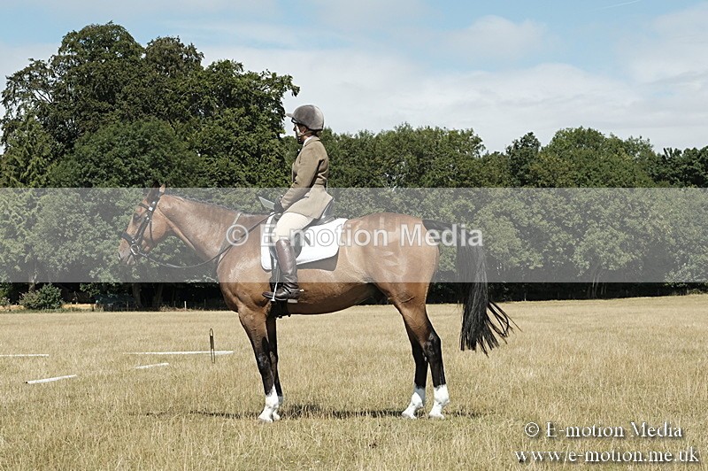 _PJP5828 - Dressage Classes BVRC Show 2018
