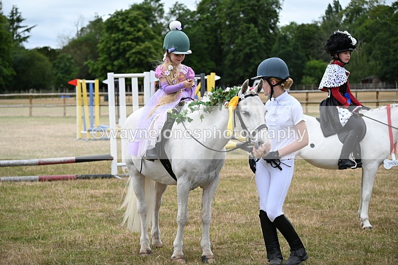 WJ6_5041 - Class 11 Fancy Dress