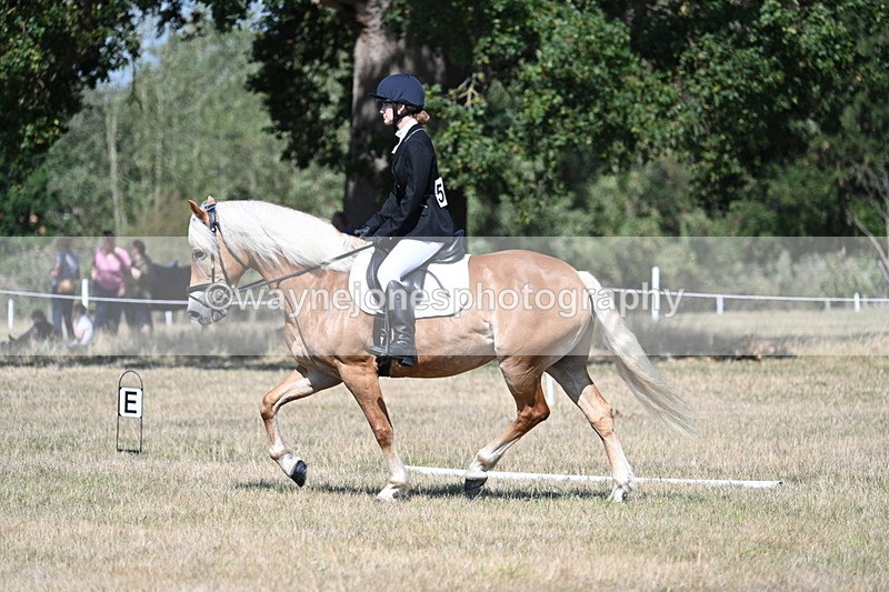 WJ7_0312 - Time 11:33 to 11:44