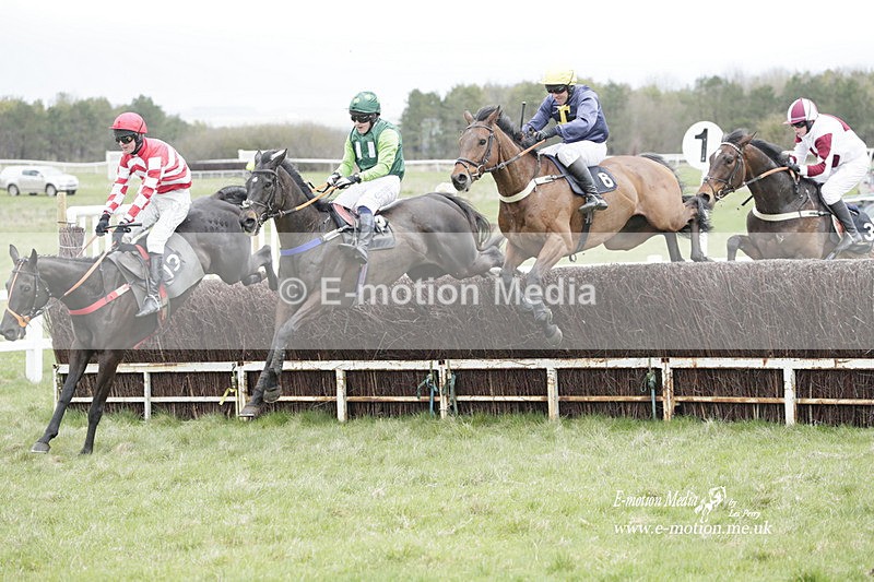 PtP 260323 0492 - New Forest Hounds Point-to-Point Larkhill 26/03/23