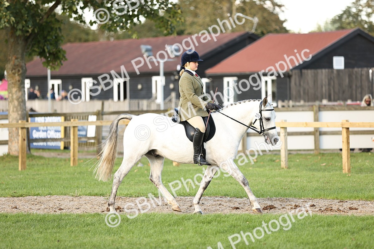 SBM_29542 - S7 - Novice & Newcomers Ridden Pony