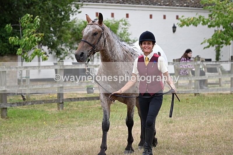 WJ6_8010 - Class 10 Coloured in Hand