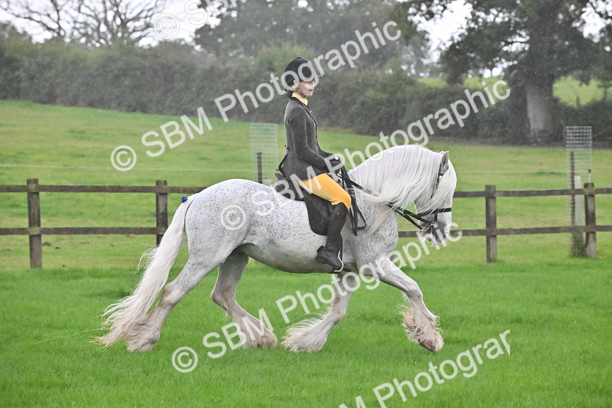 SBM_35657 - S16 - Top Turnout - Ridden