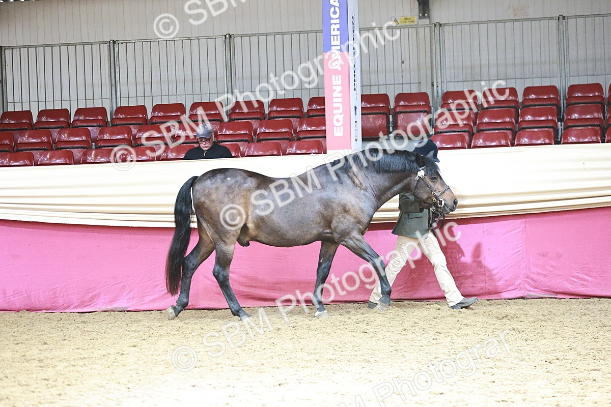 SBM_04706 - Class 7R - Regional IH Diamond