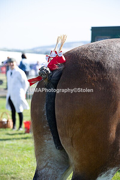 DSC_0057 - Ring 1
