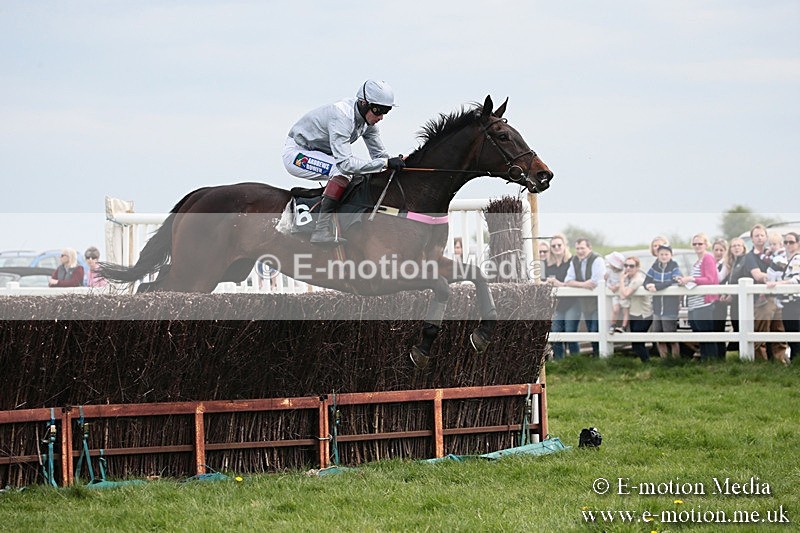 PtP 210418 215 - South & West Wilts Point-to-Point Larkhill 21/04/18