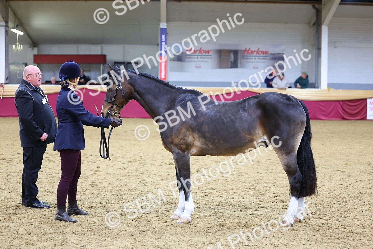 SBM_19536 - Class 901 - Supreme Final - IH Diamond