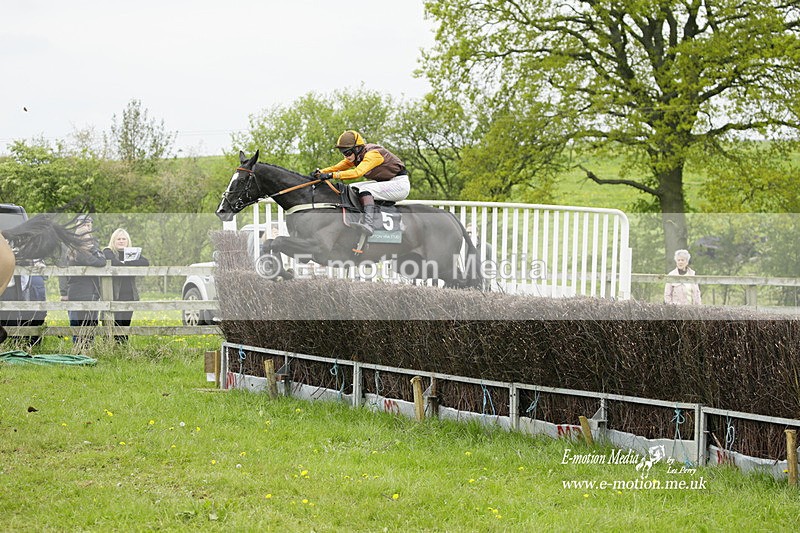 PtP 020522 218 - Mollington Races Point-to-Point 02/05/22