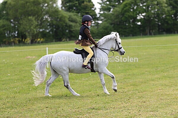 IMG_2368 - Working Hunter