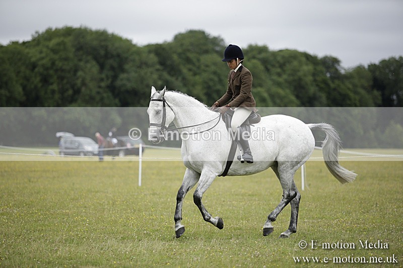 BVR160717-807 - Ring 1 BVRC Show 16/07/17