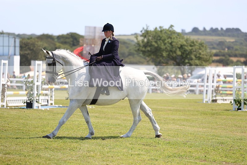 3E7A9756 - Class 13: Side Saddle