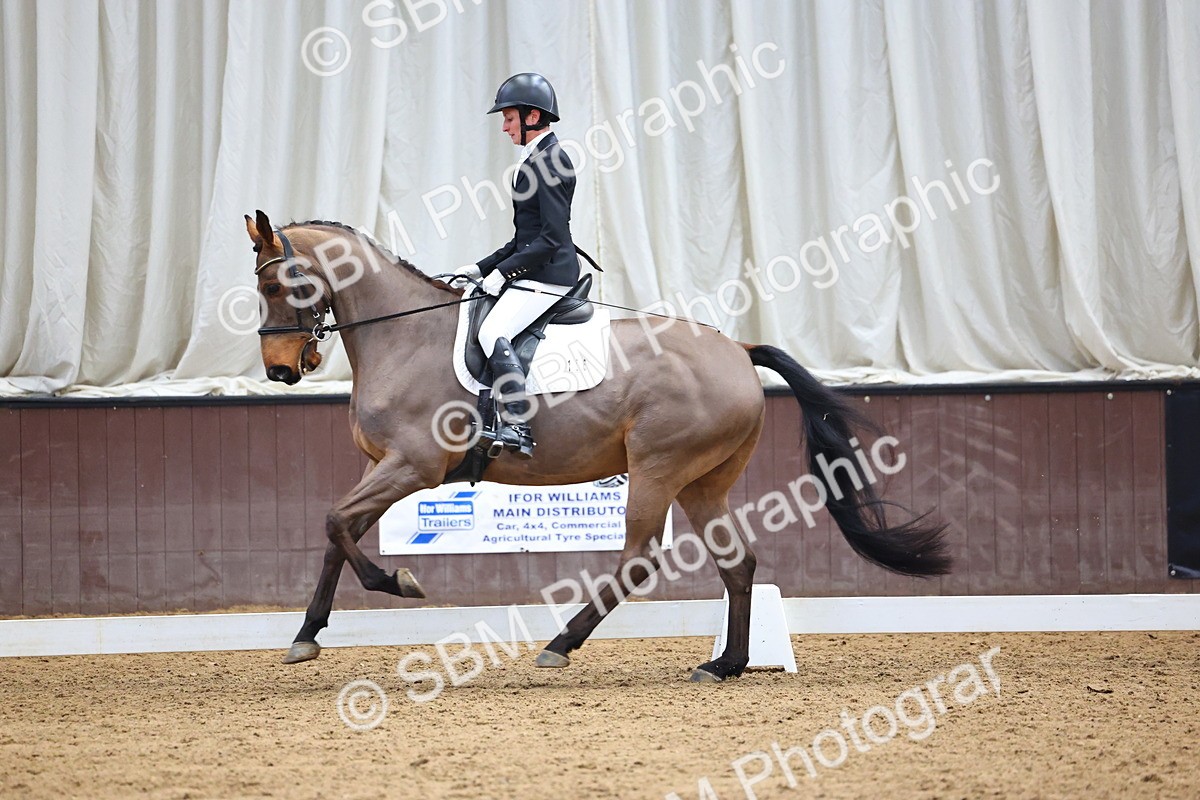 SBM_008082 - Class 21 - Medium 5