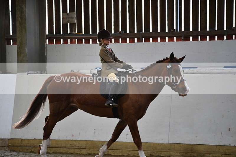 WJ5_6396 - Class 9 Ridden Veteran