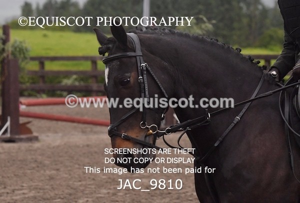 JAC_9810 - CLASS 2 Novice Working Hunter (0.60m - 0.70m)