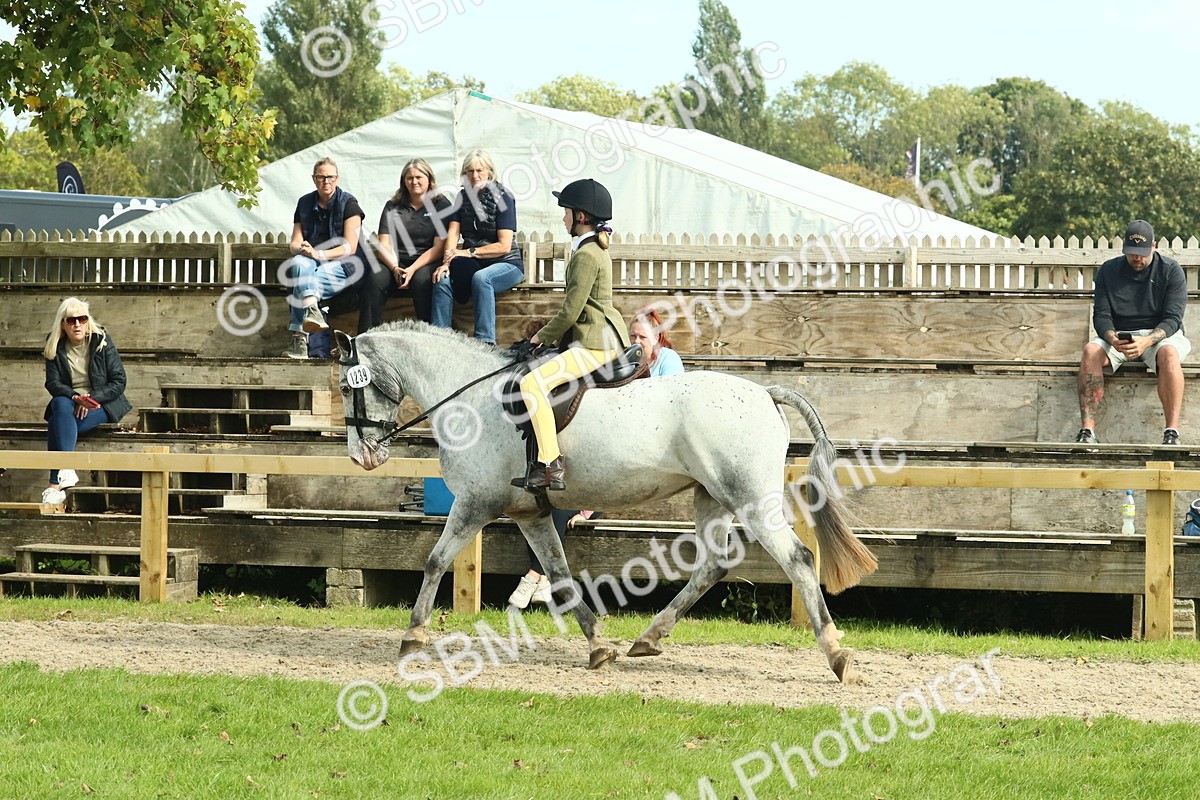 SBM_67546 - S56 - Coloured Pony Ridden