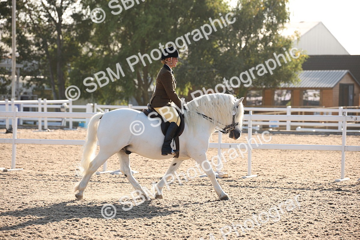 SBM_00616 - Class 14 Ridden M&M Wildcard