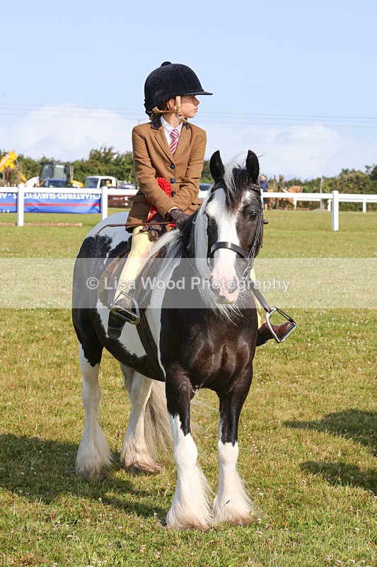 1X9A3403 - Class 28: Ridden Native/Trad Coloured Pony