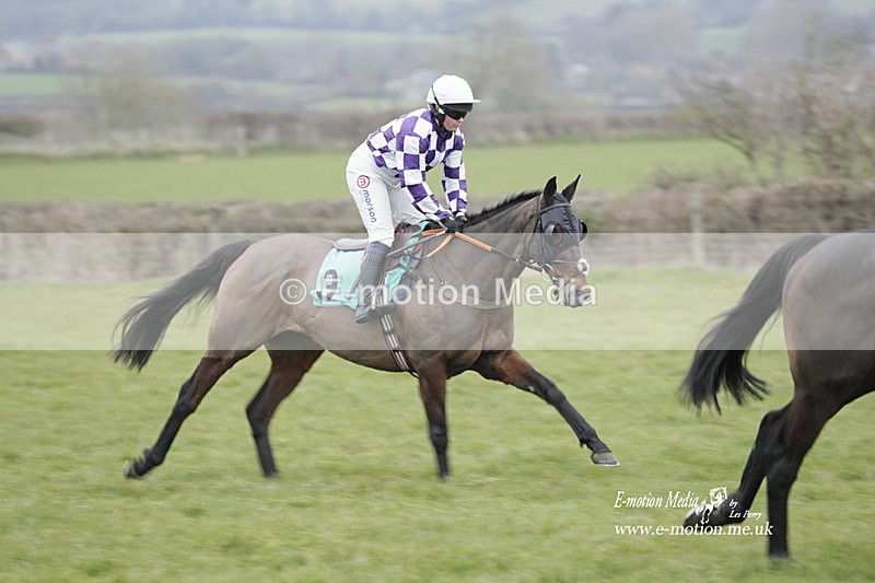 PtP 050323 390 - Blackmore & Sparkford Vale Hunt PtP - Somerset 05/03/23