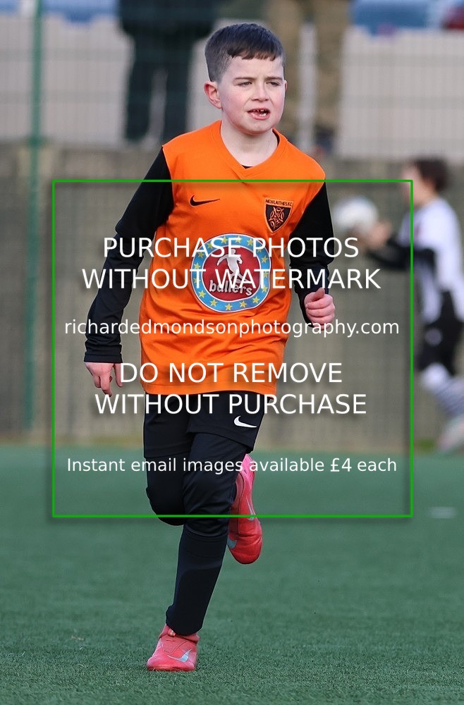 533A1133 - Newlaithes