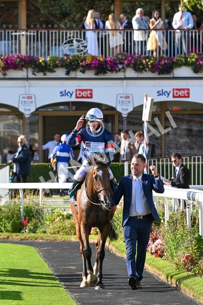 240824-Race 7-Sir Busker-2029 - Race 7 5.20pm Sky Bet Finale Handicap