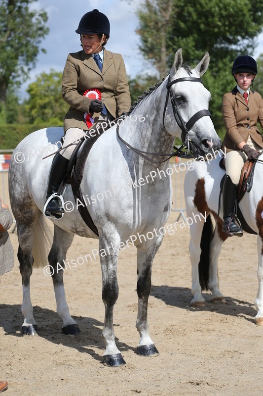 20260831-2799 - Class 16 and 17- Ridden Cob and Hunters