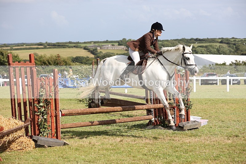 JPP_2578 - Class 20: Working Hunter 70cm