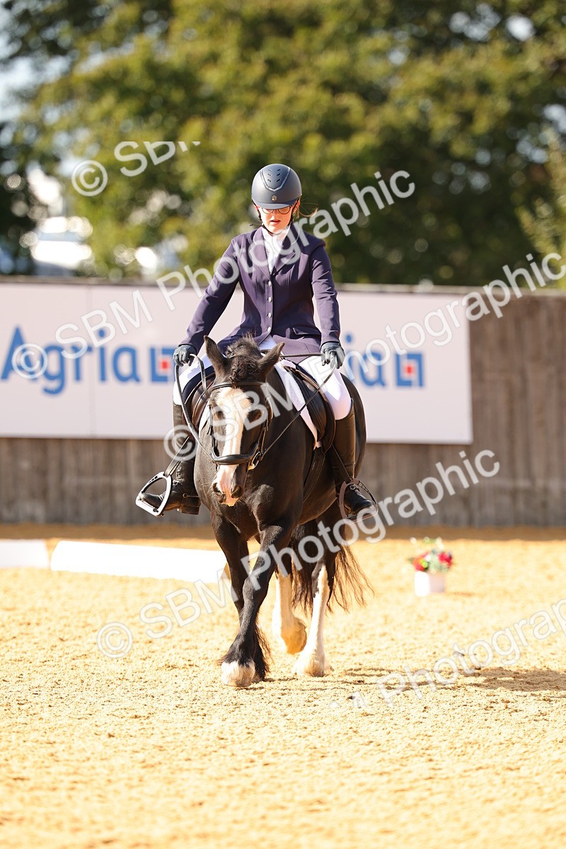 SBM_48400 - D22 - Junior Championship - Intro B