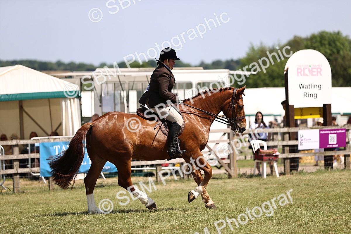 SBM_17750 - Class 81-83 - TSR Ridden Amateur of the Year - Horses