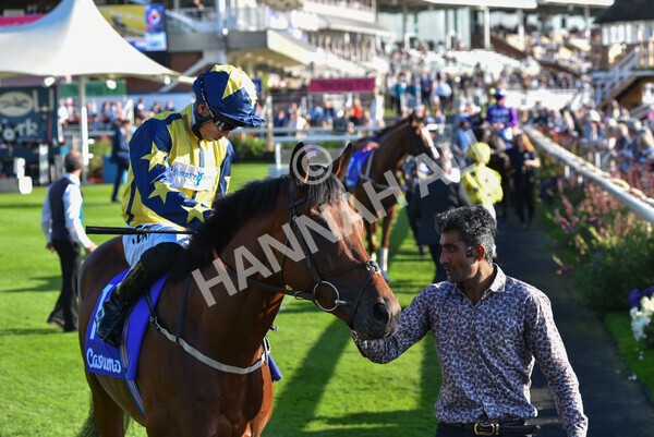yr08102021r4-9 - Race 4 3.50pm Casumo Dare To be Different Handicap