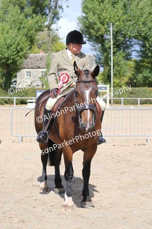 20260831-2798 - Class 16 and 17- Ridden Cob and Hunters