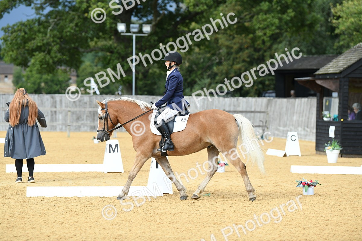 SBM_10896 - D28 Elementary Taster Elementary 42