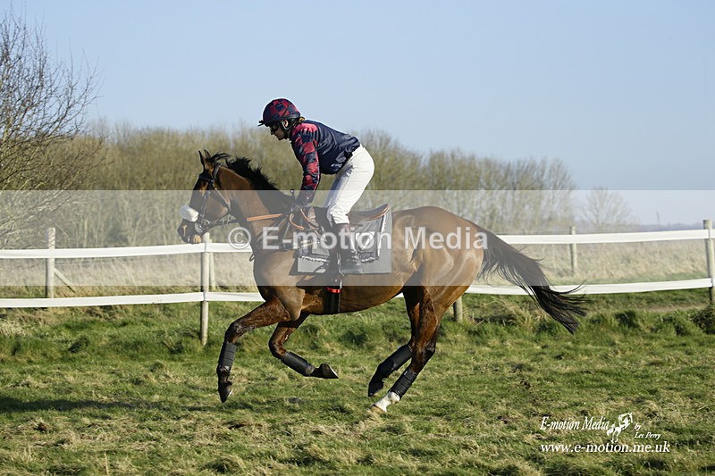 PtP 270222 484 - South & West Wilts Point-to-Point Larkhill 27/02/22
