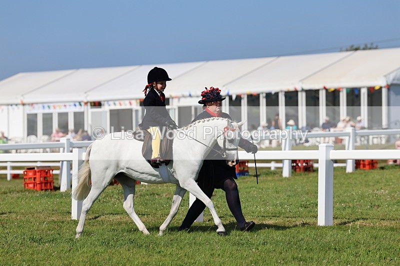 IMG_1718 - Class 31: Lead Rein SP/SHP