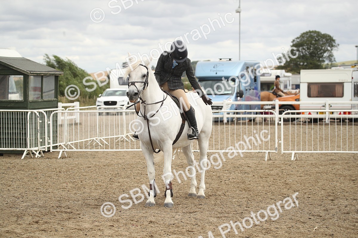 SBM_17691 - Class 508a - Working Veteran 70cm (15-19)