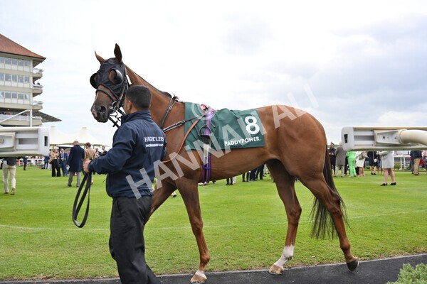 yr13052022r3-1 - Race 3 3.00pm Paddy Power 'I Love Steak' Stakes