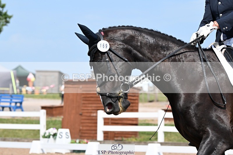 250621-152644-11775 - Cls 33 - Medium 6