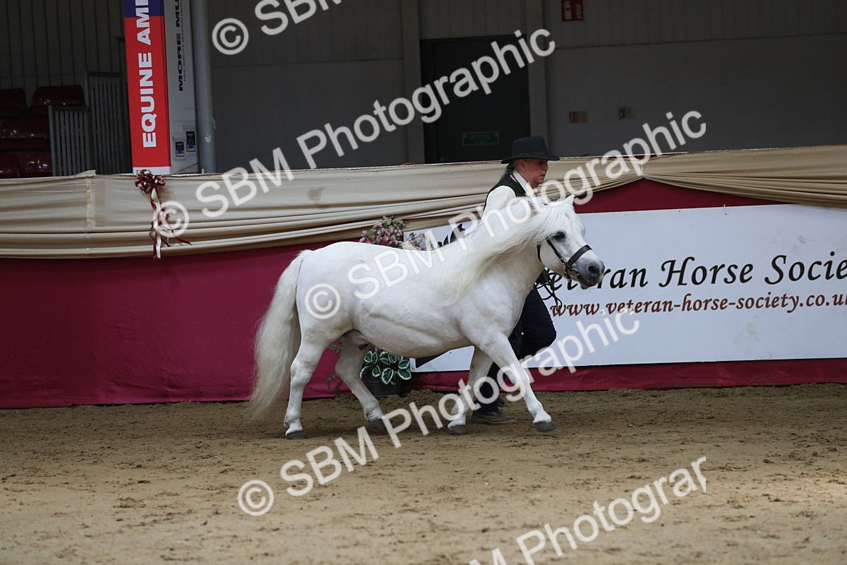 SBM_04919 - Class 8R- Regional -IH Veteran
