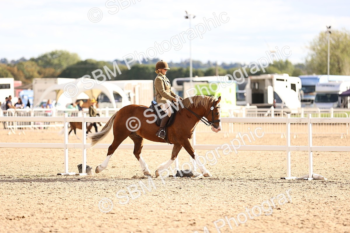 SBM_18264 - Class 423 - Equitation (best rider) Adult