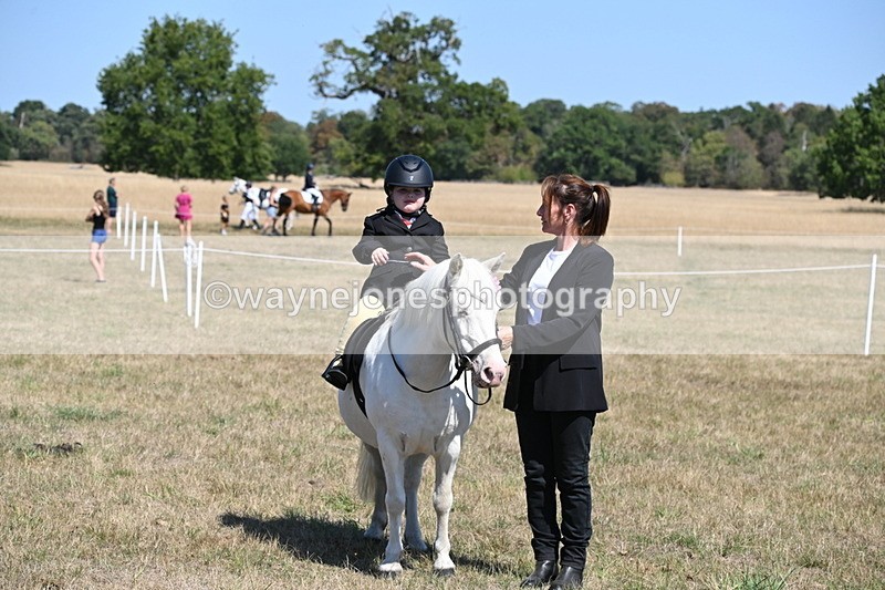 WJ6_8175 - Class 36 Lead Rein