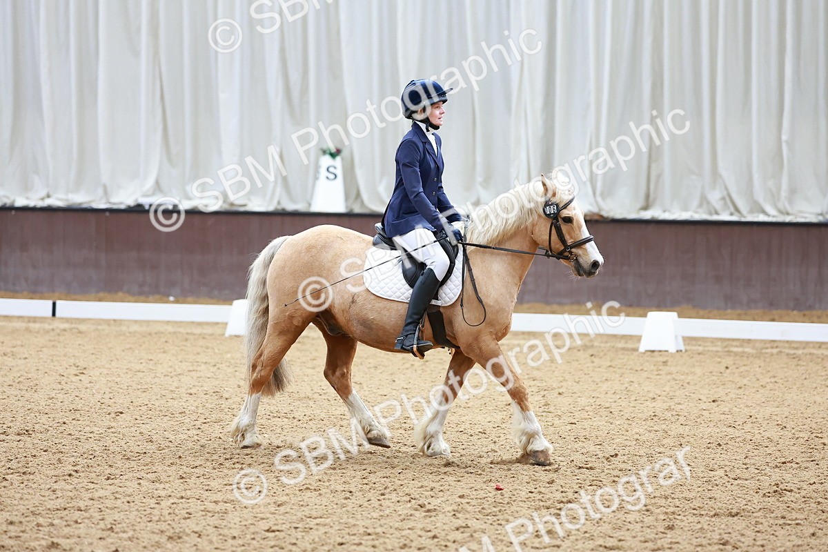 SBM_000585 - Class 4 - CT Prelim 3-70cm