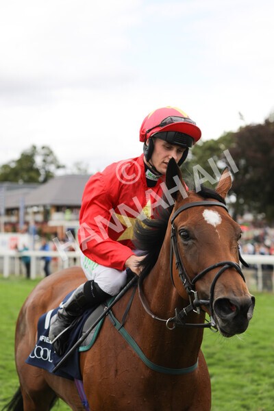 yr19082022r4-89 - Race 4 3.35pm Coolmore Wootton Bassett Nunthorpe Stakes (British Champion Series Race)