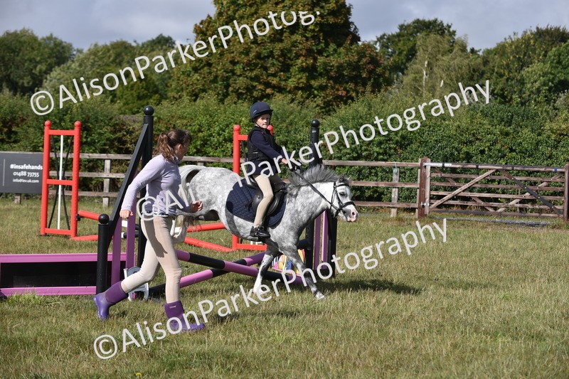 20250831-0454 - Class 7 - Absolute Novice 35cm