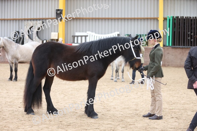 20251109-0966 - Class 26 - 2 and 4 Year Olds