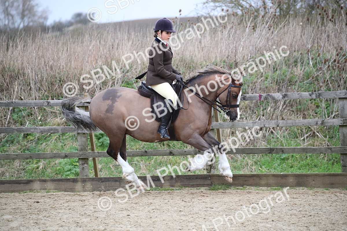 SBM_006099 - Class 10-13 - RIHS Small Large Breeds
