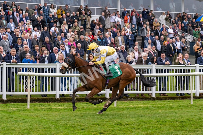 040524-Race 2-Wobwobwob-4096 - Race 2