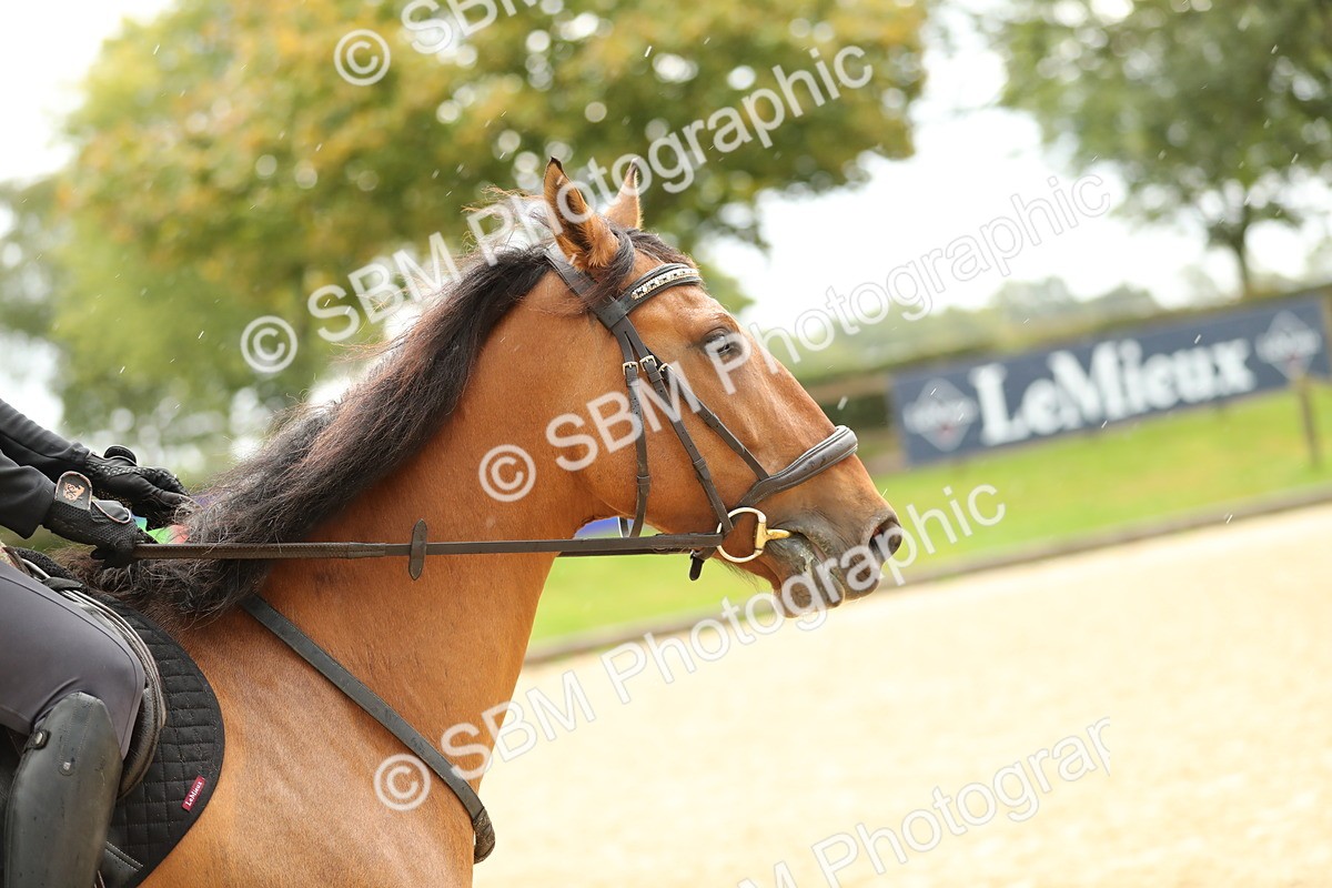 SBM_00791 - J27 - Senior Horse & Pony 50cm Championships