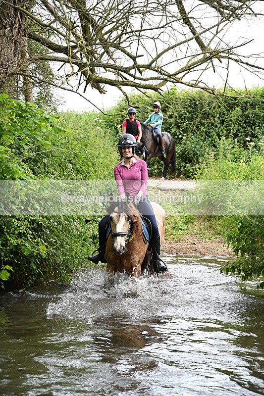 WJ7_2020 - Camera 2 Water Crossing